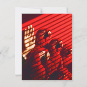 Postal Los loros rojos y una mano