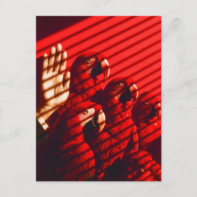 Postal Los loros rojos y una mano (Anverso)