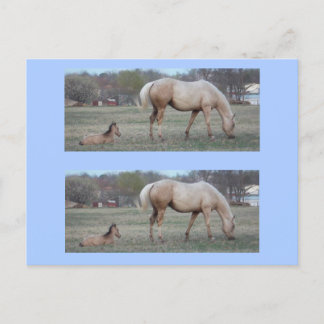 Postal Los marcadores de recién llegados