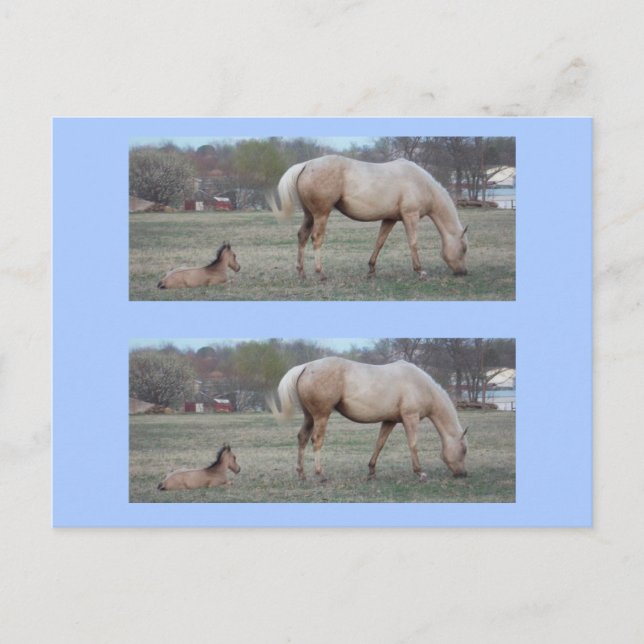 Postal Los marcadores de recién llegados (Anverso)