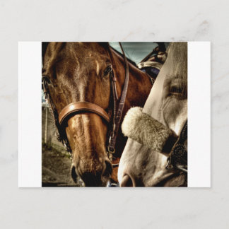 Postal Los mejores amigos