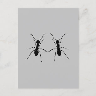 Postal Los mejores amigos. Ant Couple