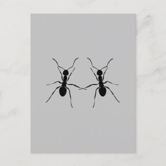 Postal Los mejores amigos. Ant Couple