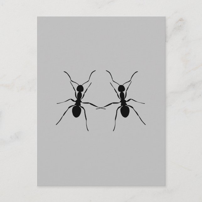 Postal Los mejores amigos. Ant Couple (Anverso)