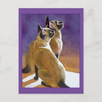 Los mejores amigos, gatos siameses