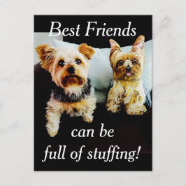 Postal Los mejores amigos llenos de adulterar la personal