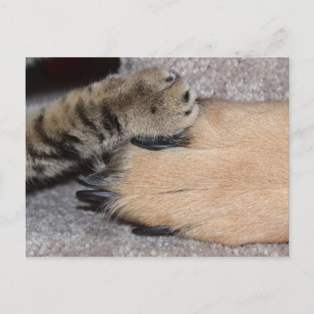 Postal Los mejores amigos para siempre por Shirley Taylor (Anverso)