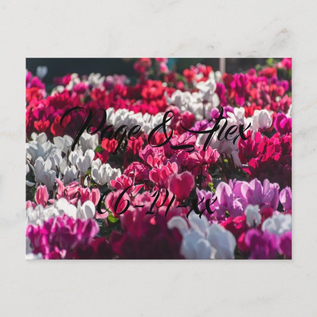 Postal Los mejores deseos del destino del Boda recién cas (Anverso)