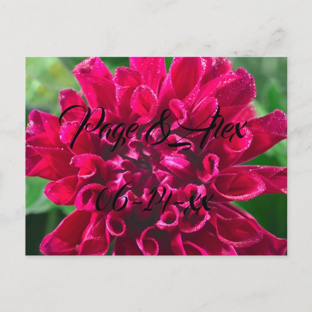 Postal Los mejores deseos del destino del Boda recién cas (Anverso)