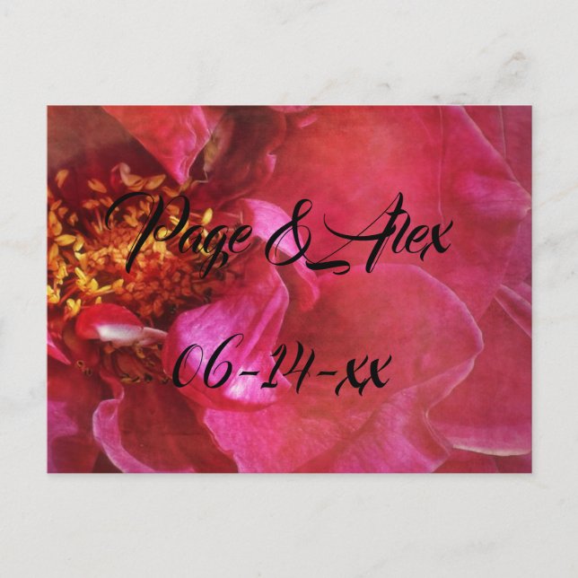 Postal Los mejores deseos del destino del Boda recién cas (Anverso)