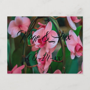 Postal Los mejores deseos del destino del Boda recién cas