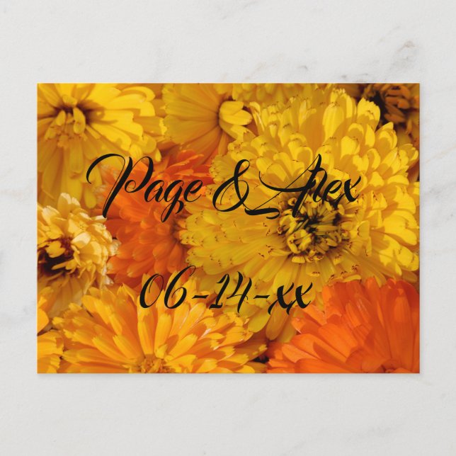 Postal Los mejores deseos del destino del Boda recién cas (Anverso)