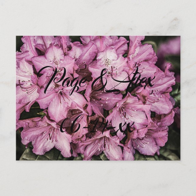 Postal Los mejores deseos del destino del Boda recién cas (Anverso)