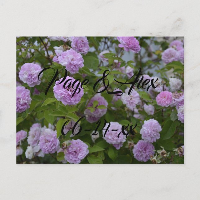 Postal Los mejores deseos del destino del Boda recién cas (Anverso)