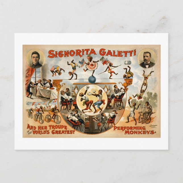 Postal Los mejores monos que actúan del mundo 1892 (Anverso)