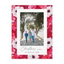 Los Navidades de presupuesto desean anémonas de la