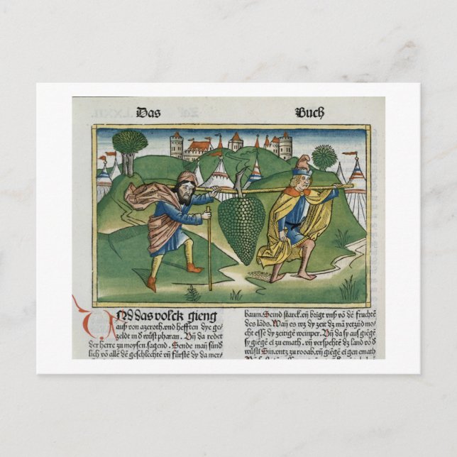 Postal Los números 13 23 Las uvas de Eschol, de la natura (Anverso)