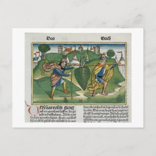 Postal Los números 13 23 Las uvas de Eschol, de la natura