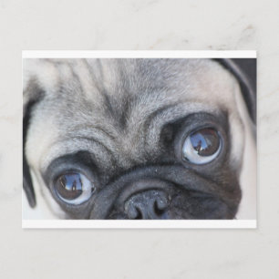 Postal Los ojos de Doobie