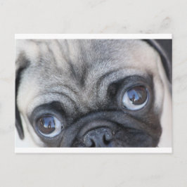 Postal Los ojos de Doobie