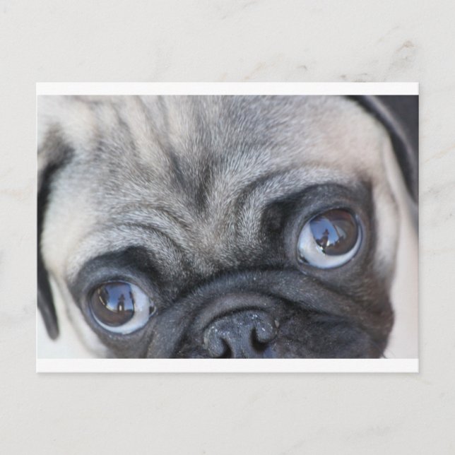 Postal Los ojos de Doobie (Anverso)