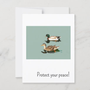 Postal Los patos. Proteja su paz
