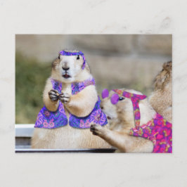 Postal ¡Los perros Prairie son GROOVY!