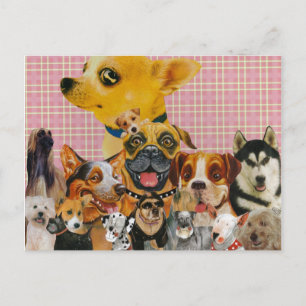 Postal Los perros son divertidos