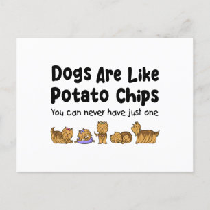 Postal Los Perros Yorki Son Como Los Chips De Papa Que Nu