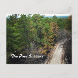 Postal Los Pine Barrens