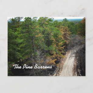Postal Los Pine Barrens