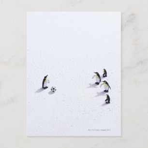 Postal Los pingüinos juegan al fútbol