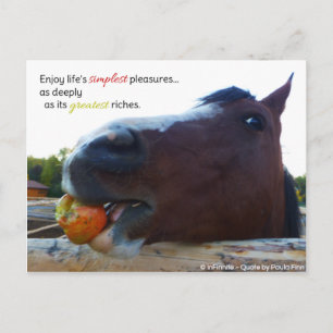 Postal Los placeres más simples de la vida...