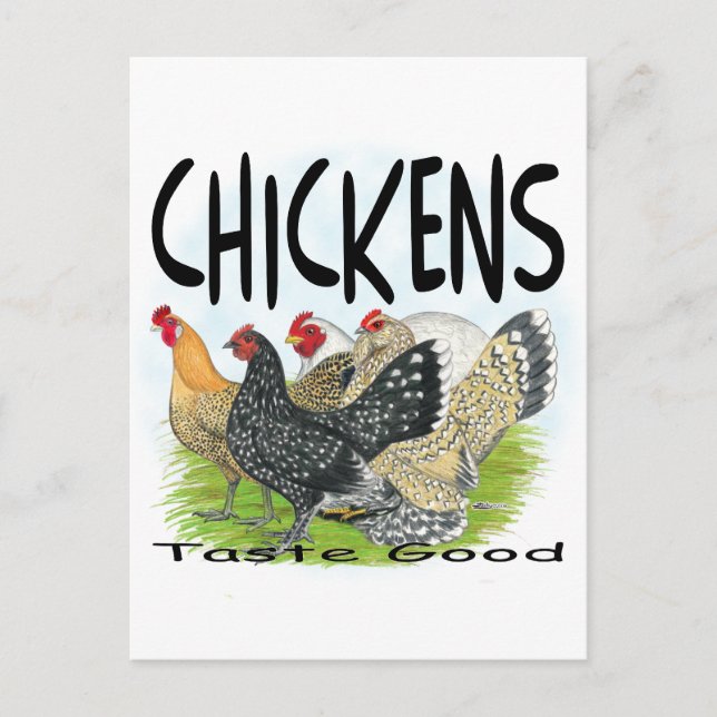 Postal ¡Los Pollos Gustan Bien! (Anverso)