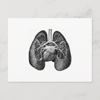 Postal Los pulmones y el corazón