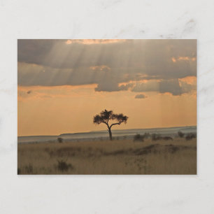 Postal Los rayos del sol atravesando la tarde