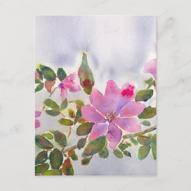 Postal Los Rosas de Nana (Anverso)