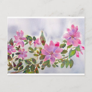 Postal Los Rosas de Nana