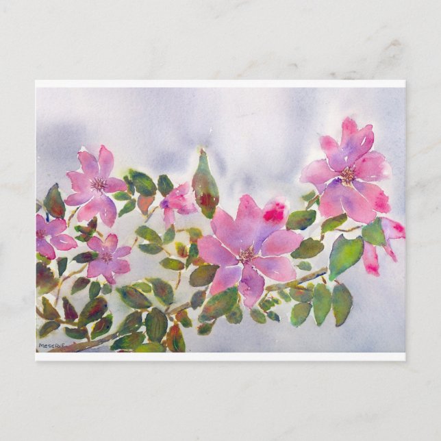 Postal Los Rosas de Nana (Anverso)