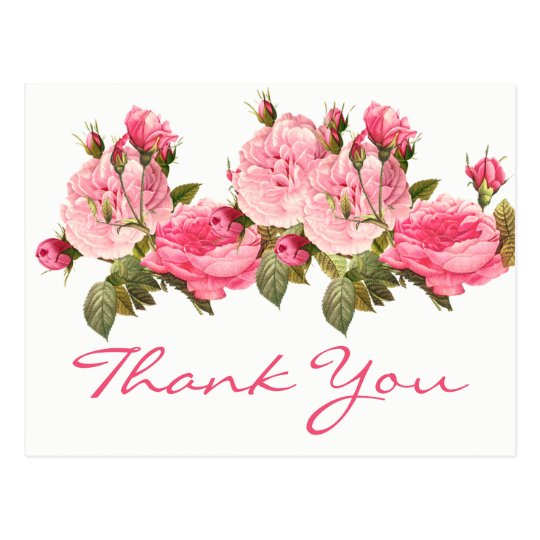 Postal Los rosas rosados florales del vintage le