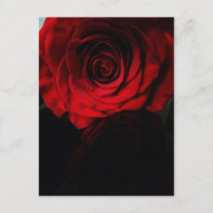 Postal Los rosas son rojos......