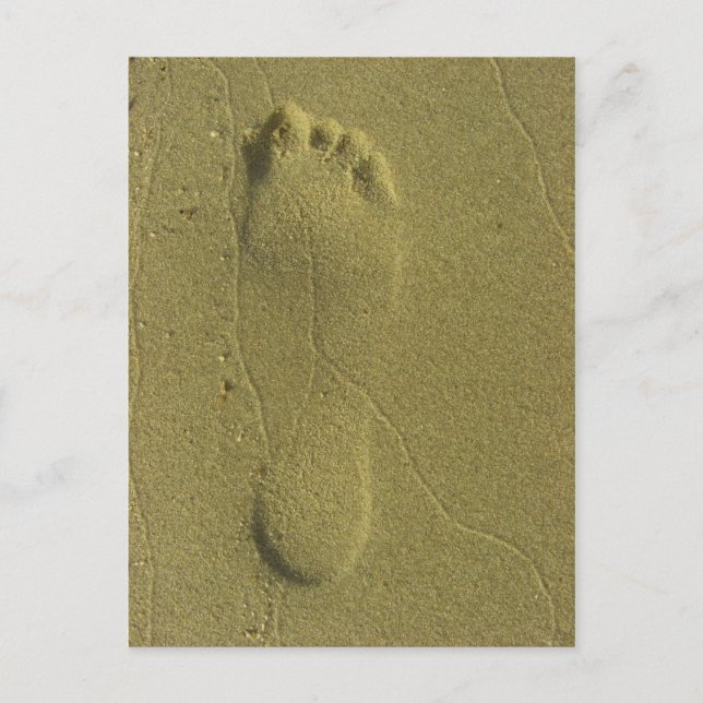 Postal Los senderos de la arena - la huella de la playa (Anverso)