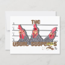 Los sospechosos habituales de CHICKEN —Barred Rock