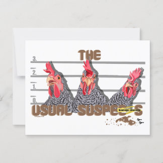 Postal Los sospechosos habituales de CHICKEN —Barred Rock