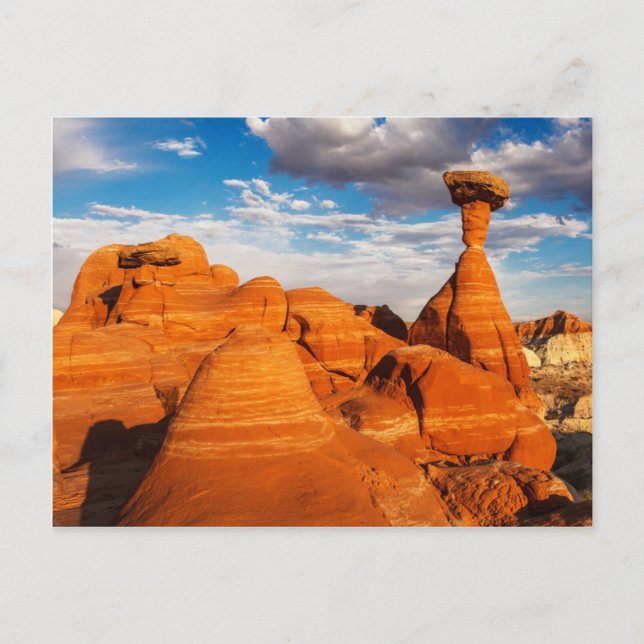 Postal Los Toadstools (Anverso)