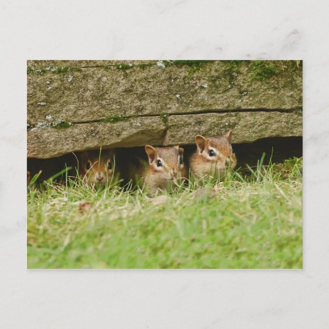 Postal los tres amigos (Anverso)