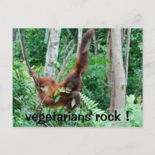Postal ¡Los Vegetarianos Primarios Rock!