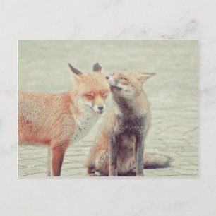 Postal ¡Los zorros enamorados!