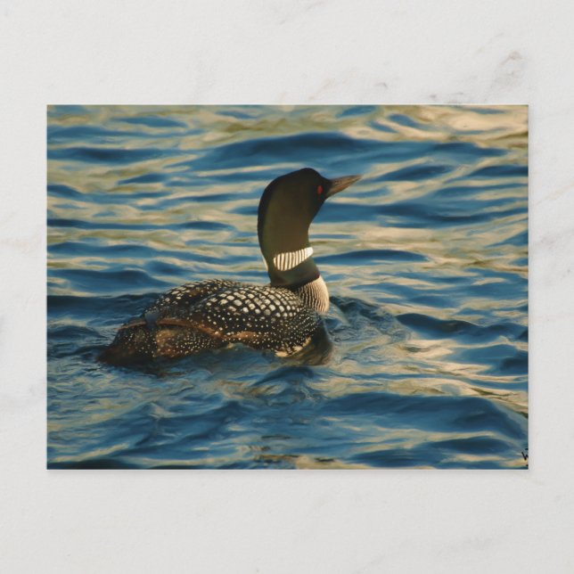 Postal Lote del Norte (Anverso)