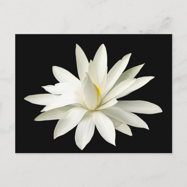 Postal Loto blanco (Anverso)